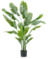 Ave del Paraiso Planta artificial Strelitzia Nicolai Deluxe 185 cm