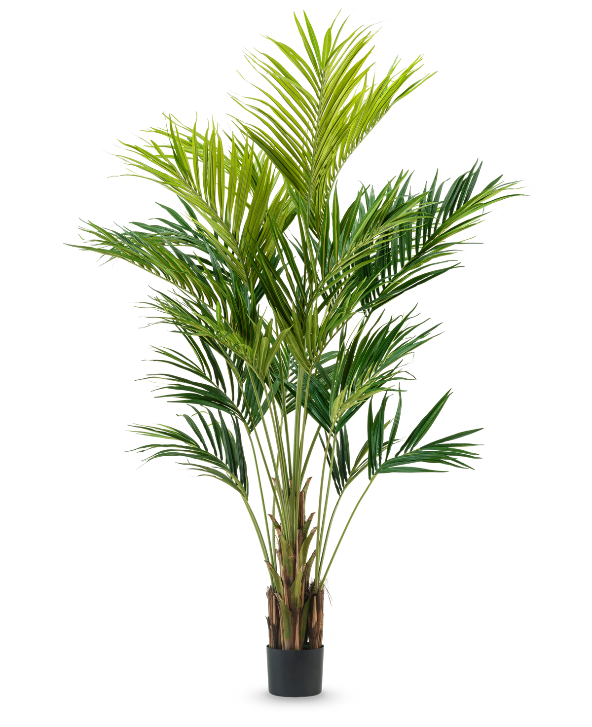 La planta artificial Kentia Palm de 270 cm tiene múltiples tallos delgados y hojas verdes largas y arqueadas en un diseño de maceta alta, sobre un fondo blanco liso.