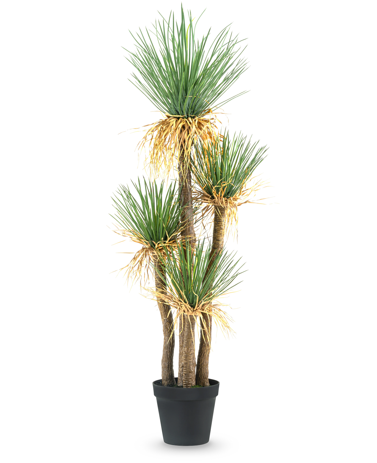La Planta Artificial Yucca deluxe 182 cm es una yuca artificial alta con múltiples tallos leñosos y manojos de hojas verdes largas y puntiagudas y algo amarillentas en la base, perfecta como pieza decorativa para cualquier estancia.
