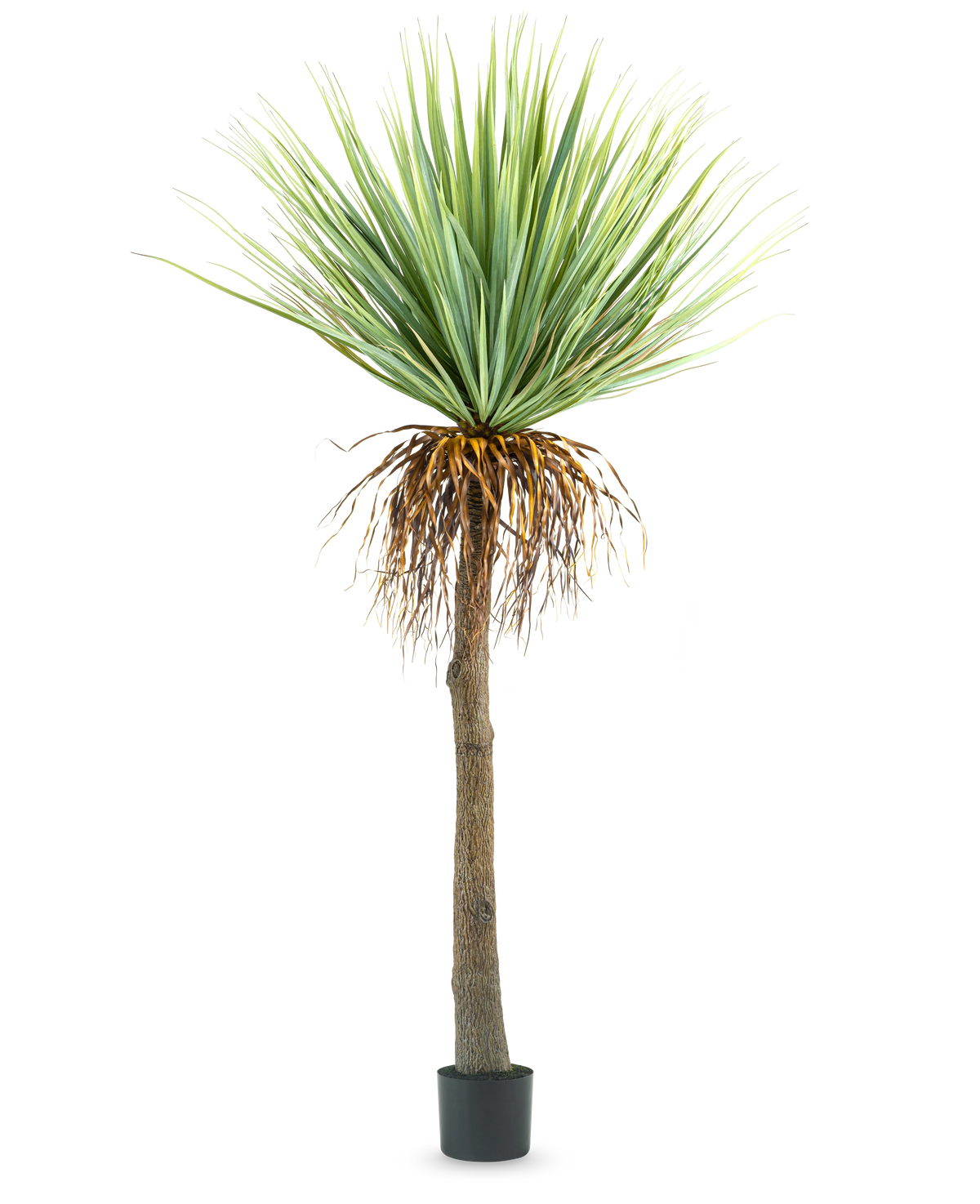 La planta de yuca artificial de 153 cm tiene un tronco alto y rugoso de color marrón con hojas verdes puntiagudas en la parte superior y algunas hojas secas en la parte inferior, sobre un fondo blanco liso.