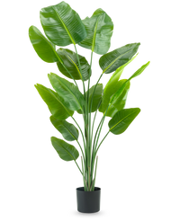 Ave del Paraiso Planta artificial Strelitzia 180 cm tacto real