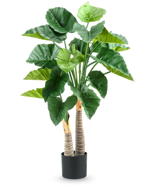 De Kunstplant Alocasia 120 cm heeft grote, glanzend groene bladeren en twee dikke, gestructureerde stelen in een eenvoudige zwarte pot, tegen een witte achtergrond.