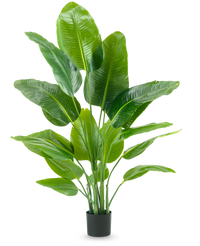 Planta artificial Strelitzia Tacto real Deluxe 150 cm