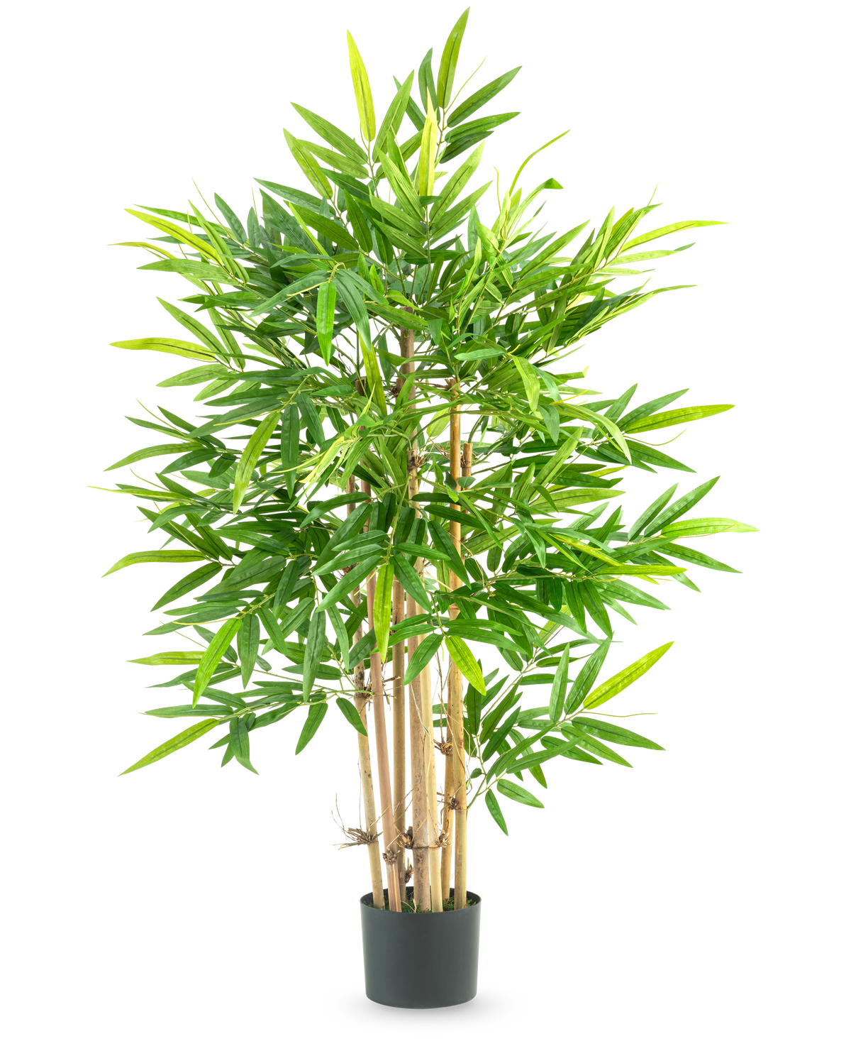 La Planta Artificial Bambú 120 cm es un bambú alto en una maceta con varios tallos finos de color amarillento y muchas hojas verdes, largas y estrechas, sobre un fondo blanco liso.