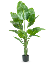 Ave del Paraiso Planta artificial Strelitzia 150 cm tacto real
