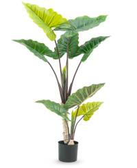 Planta artificial Alocasia 150 cm