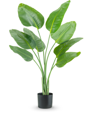 De Kunstplant Strelitzia 120 cm real touch heeft hoge, groene, omhoog groeiende langwerpige bladeren in een zwarte plantenbak, tegen een effen witte achtergrond.
