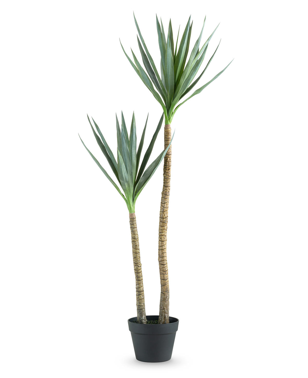 La Planta Artificial Heneken 120 cm es una planta de yuca artificial con dos troncos altos y esbeltos y hojas puntiagudas de color verde sobre un fondo blanco liso.