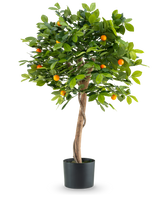 La Planta Artificial Naranjo 90 cm es un naranjo en maceta con un tronco retorcido, exuberantes hojas verdes y pequeños frutos de color naranja sobre un fondo blanco liso.