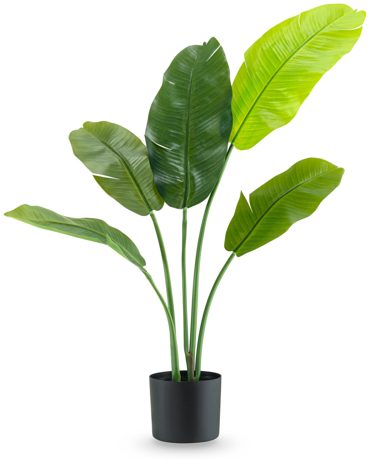 La Planta Artificial Strelitzia Nicolai Deluxe 90 cm tiene hojas grandes de color verde brillante en tallos largos y se presenta en una sencilla maceta negra sobre un fondo blanco liso.