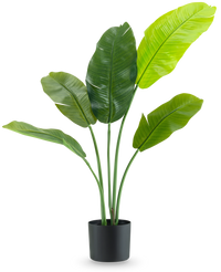 Ave del Paraiso Planta artificial Strelitzia Nicolai Deluxe 105 cm