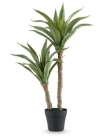 De Kunstplant Agave 76 cm heeft twee lange, dikke stelen met lange, puntige groene bladeren in een zwarte pot, tegen een effen witte achtergrond.