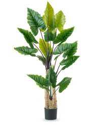 Planta artificial Alocasia 210 cm
