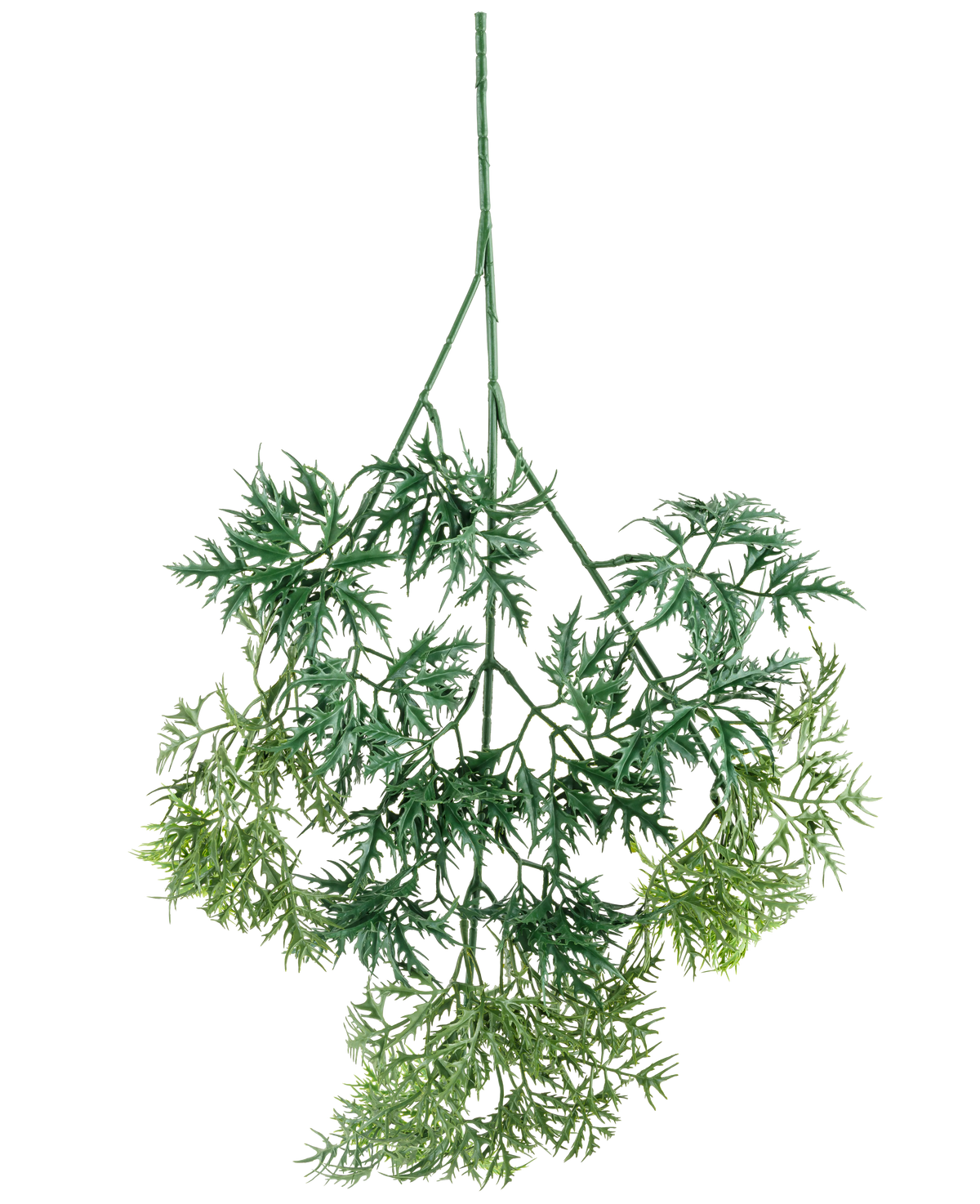 El spray Kunsttak Ming Aralia de 72 cm tiene hojas artificiales verdes, ligeras como una pluma, con bordes finos en forma de agujas en diferentes tonos de verde, que cuelgan boca abajo sobre un fondo blanco.