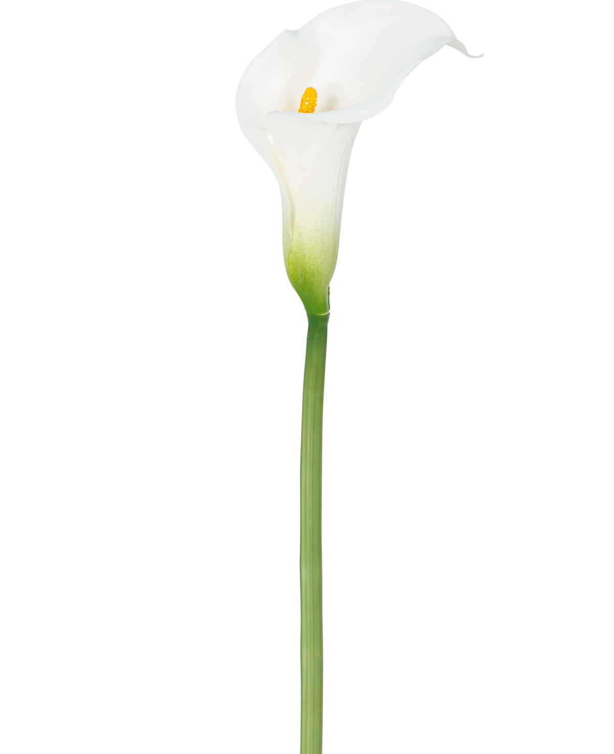 Un lirio artificial de 84 cm de color blanco con un corazón amarillo.