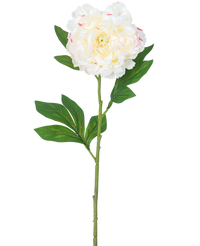 Ramo de flor artificial Peonía 77 cm blanca
