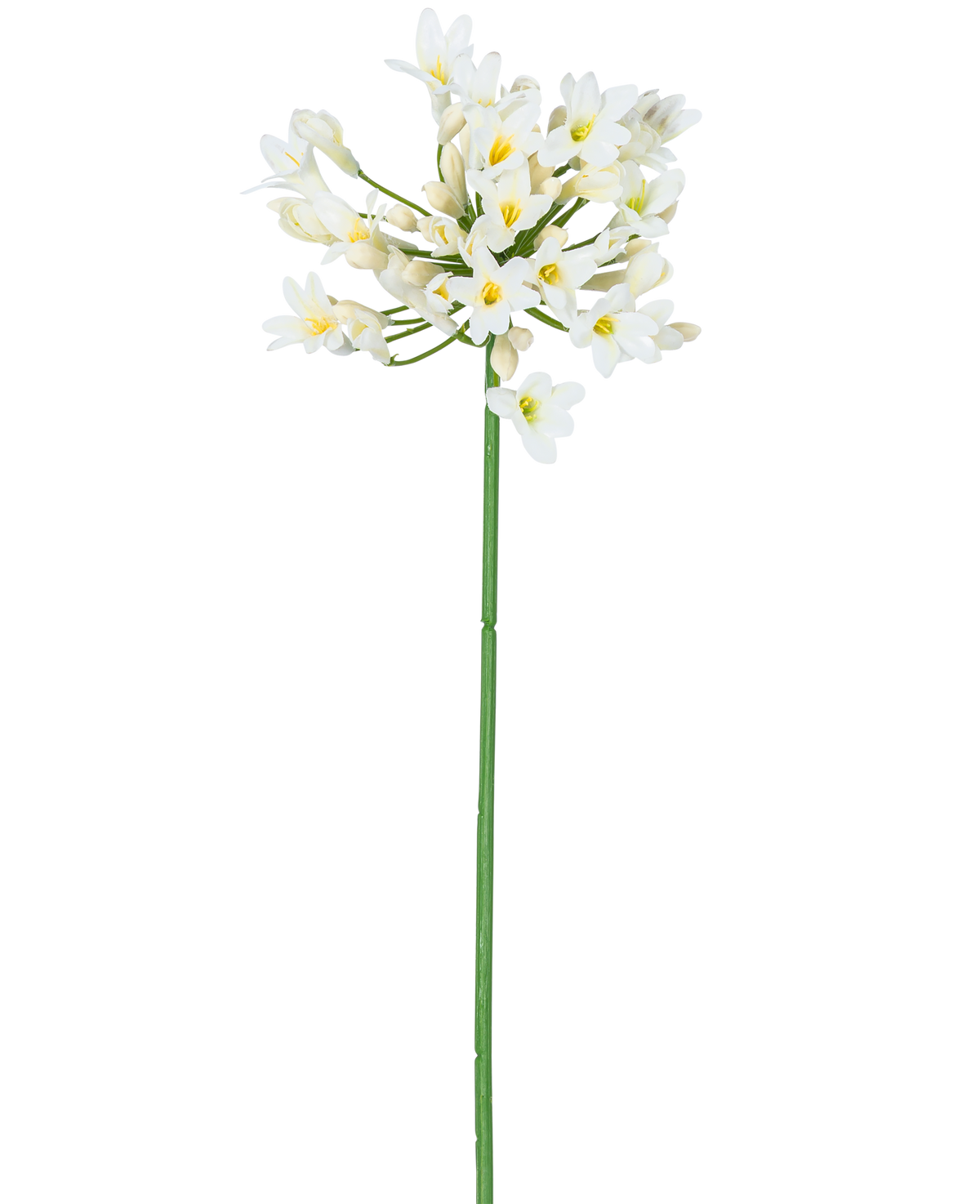 La Flor Artificial Agapanthus 77 cm blanca tiene un único tallo alto de color verde con un ramo de pequeñas flores blancas con un corazón amarillo, sobre un fondo blanco liso.