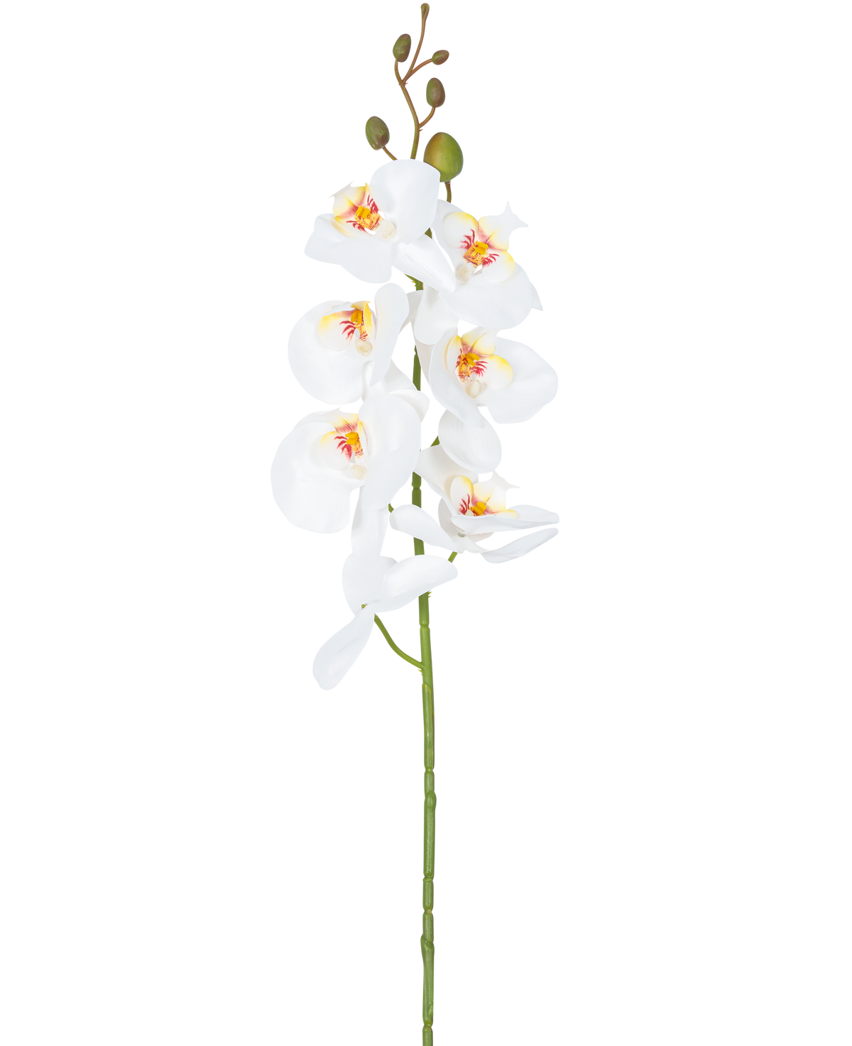 La orquídea artificial de 84 cm blanca tiene un único tallo de flores de orquídeas blancas con corazones amarillos y rosas y capullos verdes en la parte superior, sobre un fondo blanco liso.