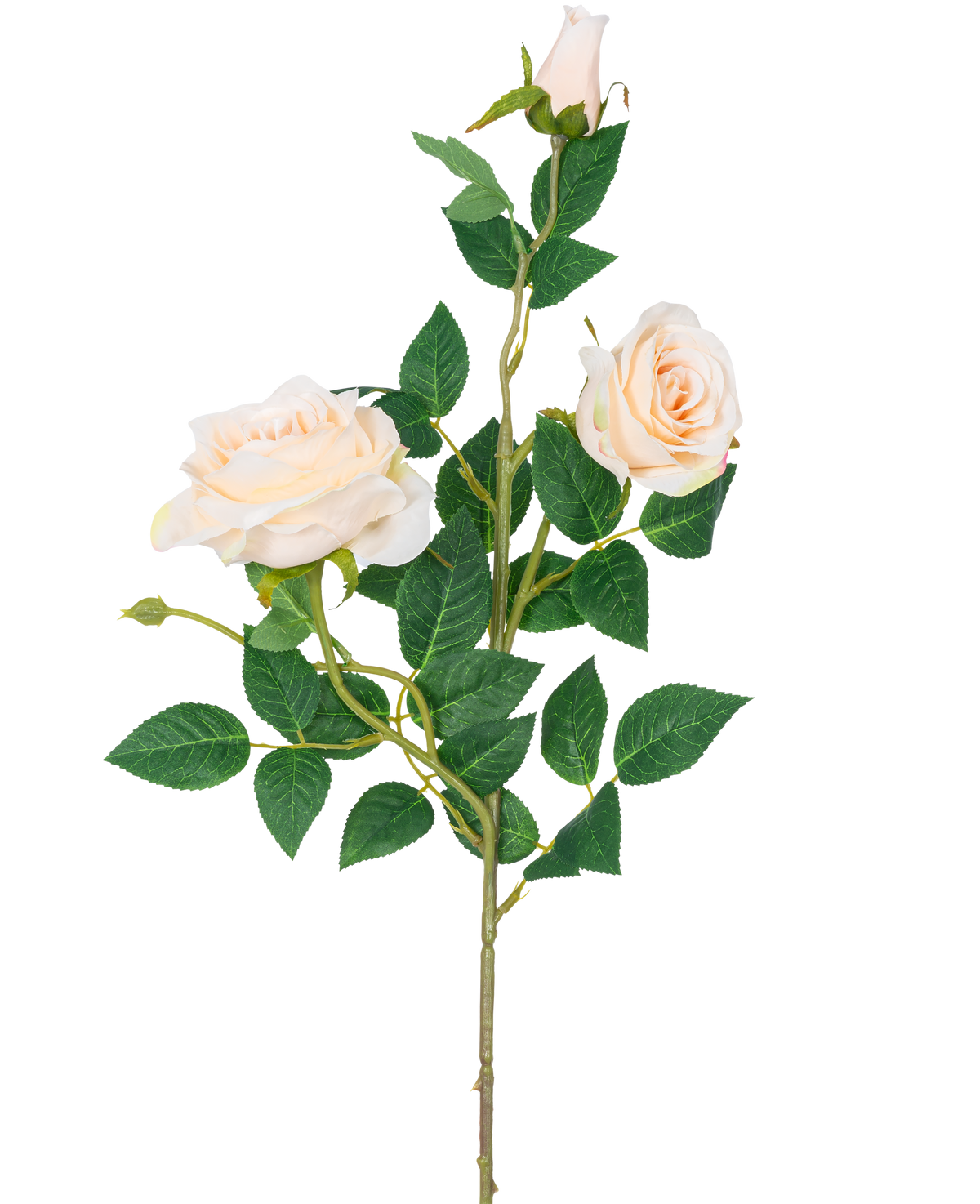 La Rosa Artificial Neo deluxe 75 cm beige tiene un solo tallo con dos rosas en flor de color beige claro, un capullo de rosa y varias hojas verdes, sobre un fondo blanco liso.