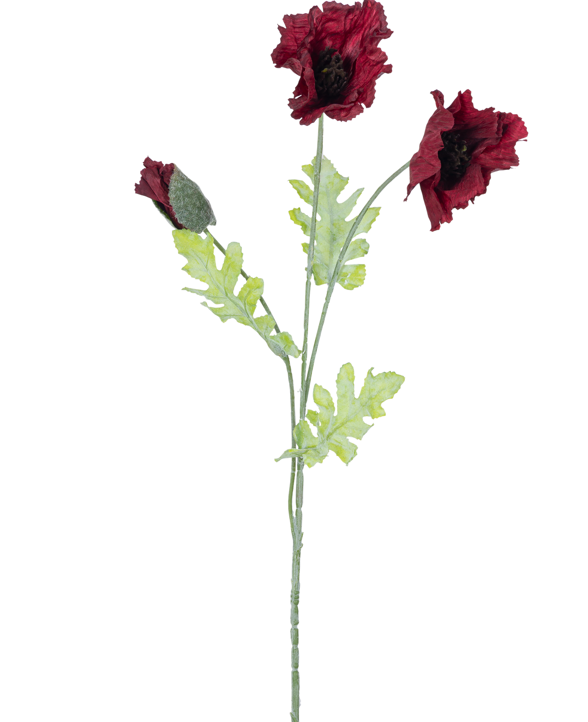 La Flor Artificial Amapola 73 cm burdeos tiene un solo tallo con dos flores abiertas de amapola de color rojo oscuro, un capullo y varias hojas dentadas de color verde sobre un fondo blanco.