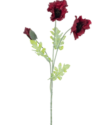 Ramo de flor artificial Amapola 73 cm burdeos