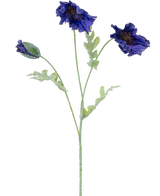 Una ilustración botánica de la flor artificial de amapola de 73 cm de color azul oscuro muestra tres tallos de color verde claro: dos con volantes de flores de color azul oscuro y uno con un capullo cerrado sobre un fondo blanco.