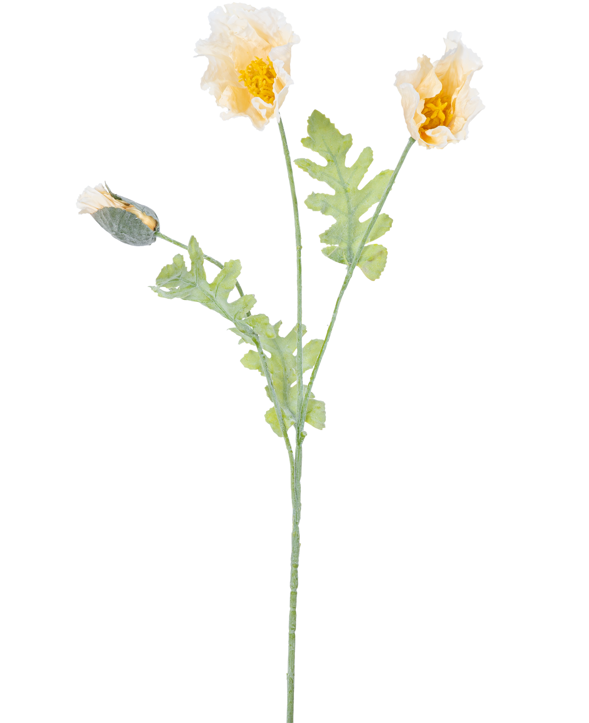 Una delicada ilustración botánica de Flor Artificial de Amapola de 73 cm color crema, con dos flores amarillas abiertas y un capullo cerrado sobre tallos verdes con hojas dentadas, sobre un fondo blanco.
