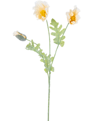 Ramo de flor artificial Amapola 73 cm crema
