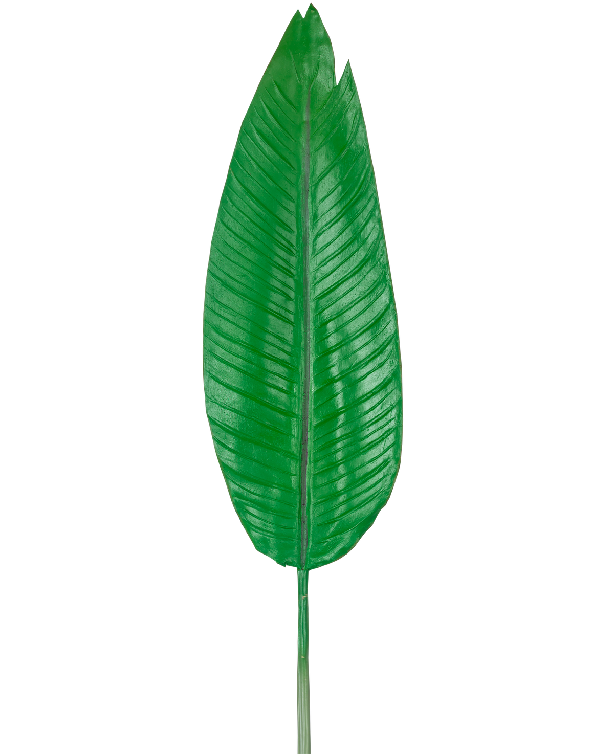 La hoja artificial Strelitzia de 110 cm es una hoja artificial verde grande con una nervadura central prominente y venas laterales visibles, representada sobre un fondo blanco liso.
