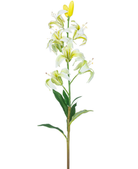 Ramo de flor artificial Lirio martagón 78 cm blanco