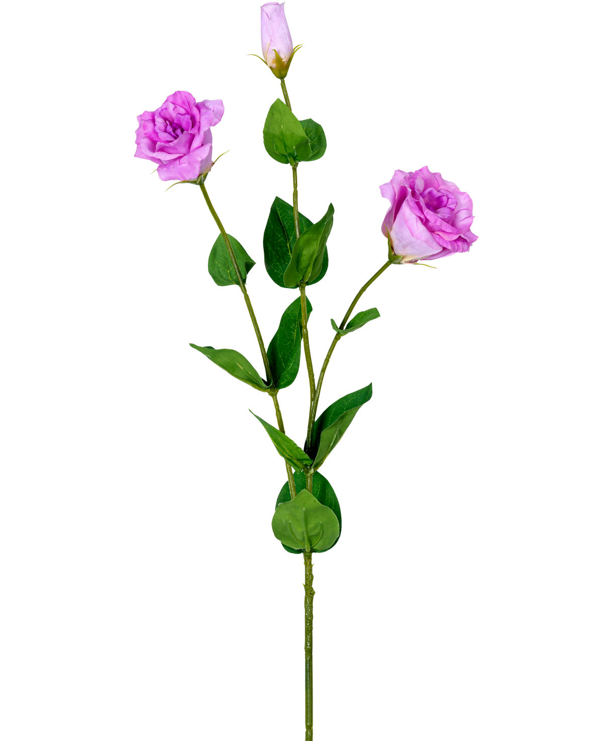 El Eustoma Artificial Real Touch Rosa 72 cm tiene un único tallo verde con tres rosas artificiales de color violeta claro en diferentes etapas de floración y diferentes hojas verdes, representadas sobre un fondo blanco.