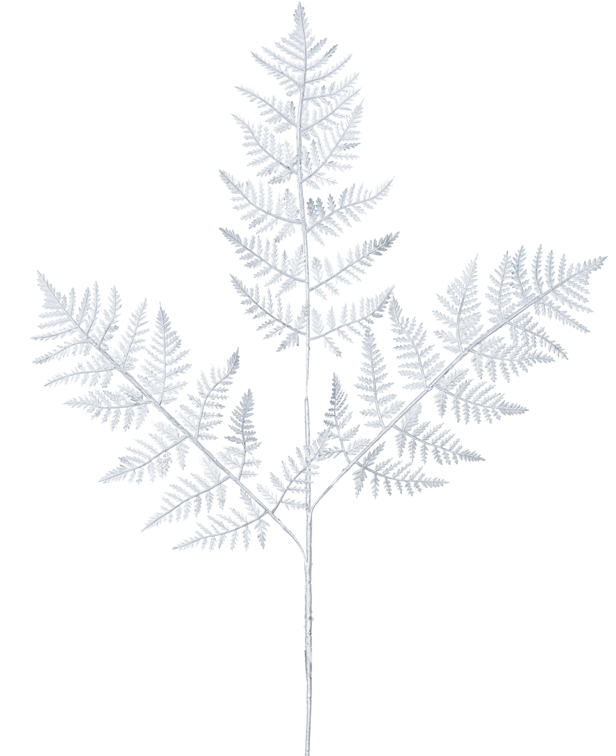 El helecho artificial en rama de 78 cm plateado tiene una delicada hoja de helecho de color gris claro con tres ramas principales de hojas finamente detalladas sobre un fondo blanco liso.