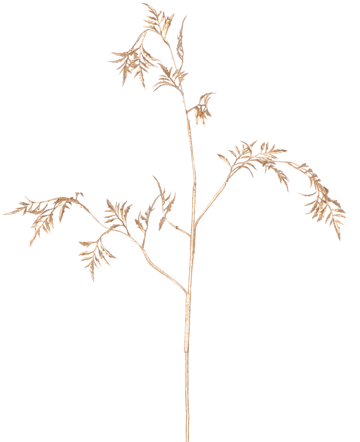 El helecho artificial Mini 75 cm dorado tiene delicados tallos de color marrón claro con hojas finas y plumosas que se ramifican sobre un fondo blanco liso.