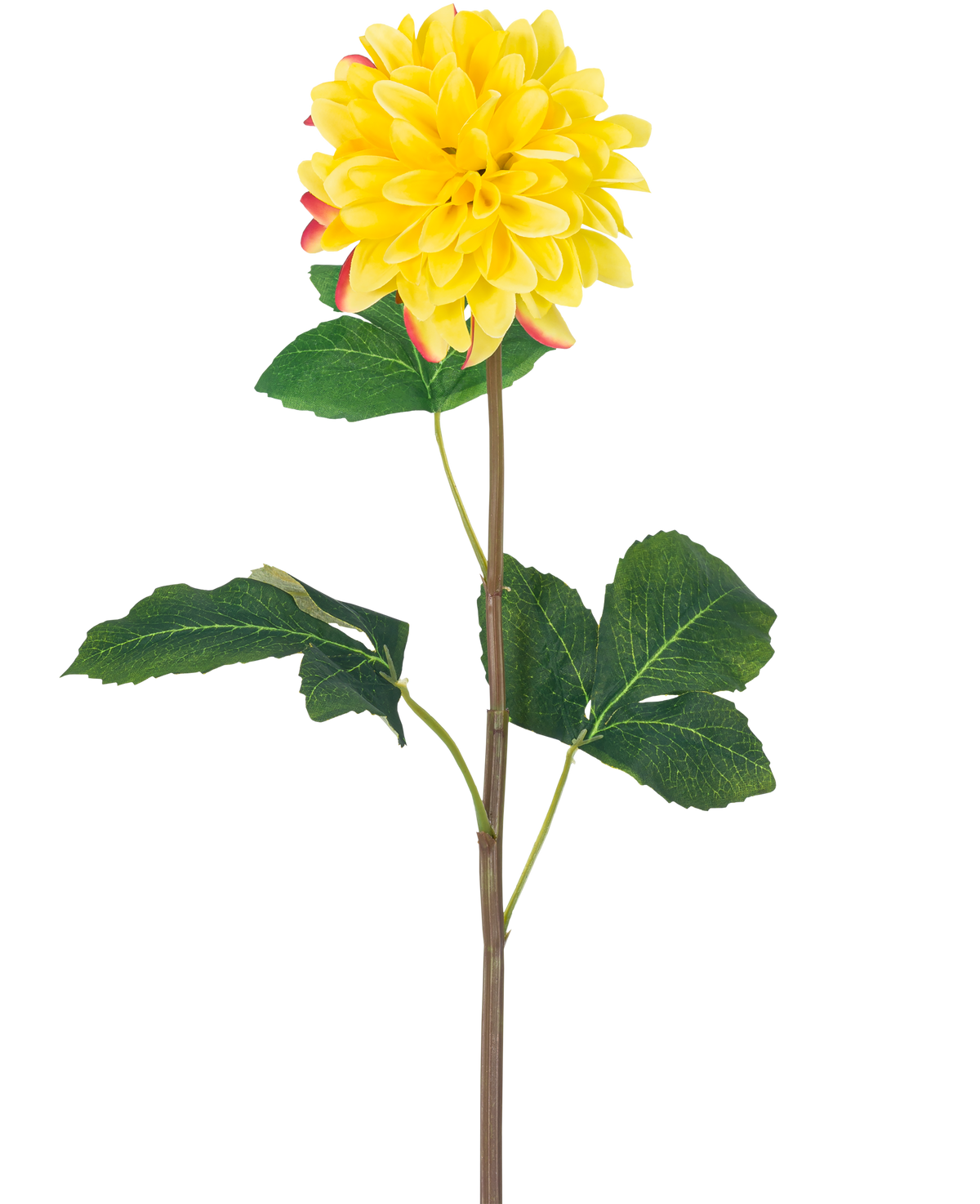 La Flor Artificial Dalia Real Touch Amarilla 73 cm es una única dalia amarilla con pétalos redondos y detalles en rojo, con un largo tallo verde y varias hojas grandes de color verde, sobre un fondo blanco.