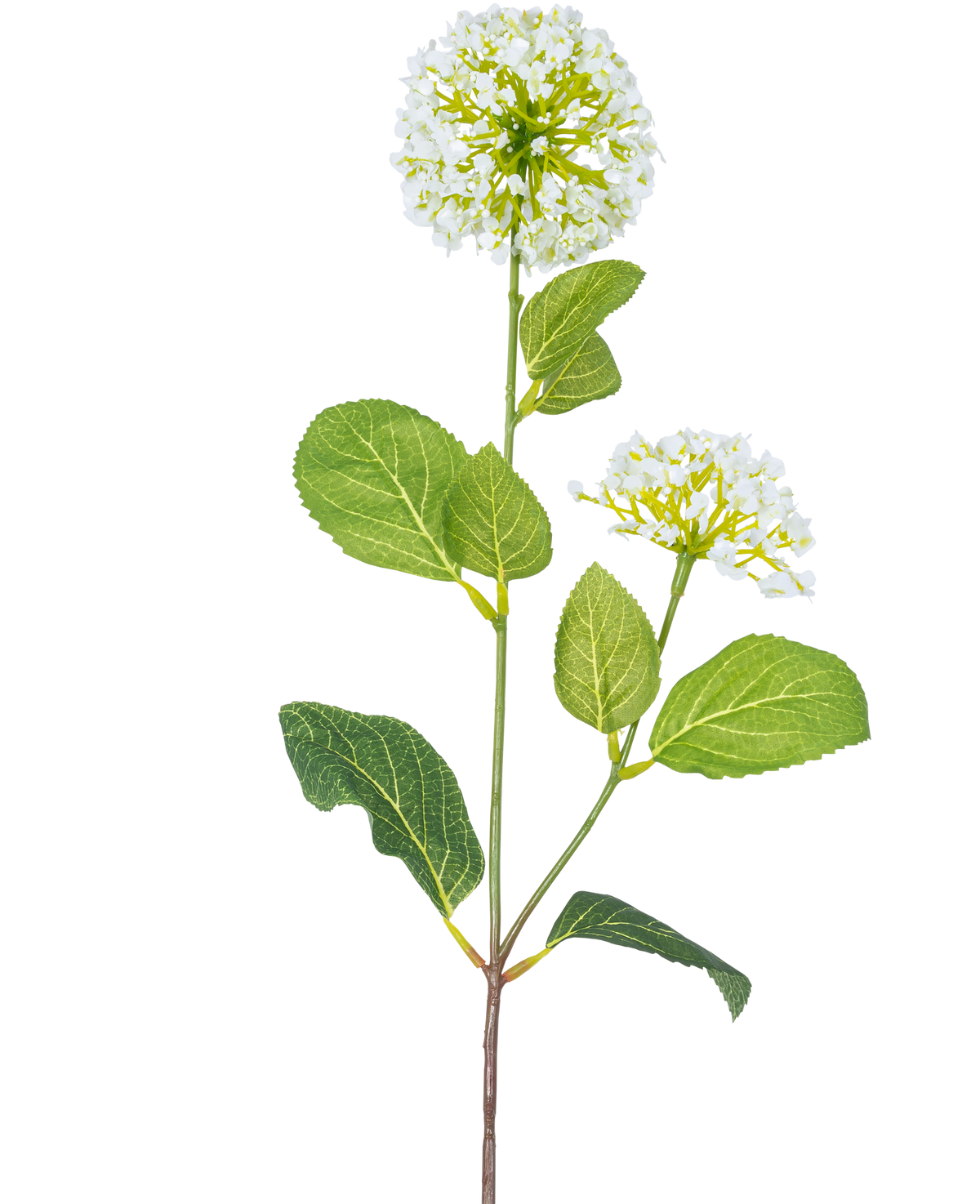 La Flor Artificial Bola de Nieve/Viburnum (70 cm) tiene dos ramos de pequeñas flores blancas y varias hojas verdes ovaladas sobre un tallo, sobre un fondo blanco.