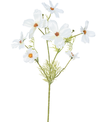 Ramo de flor artificial Cosmos 74 cm blanco