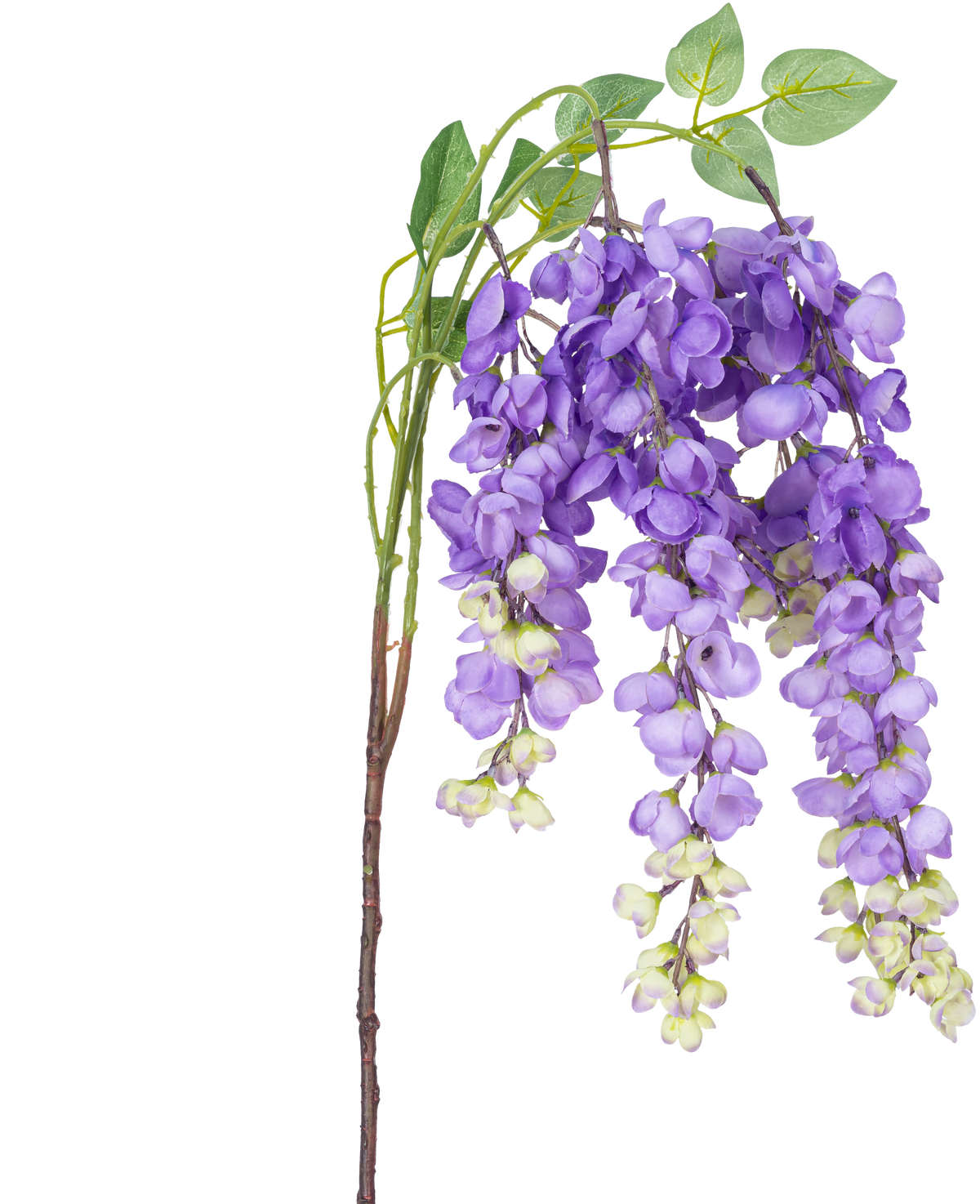 Una flor de glicina artificial de 115 cm de color violeta con flores de glicina violeta y hojas verdes sobre un fondo blanco.