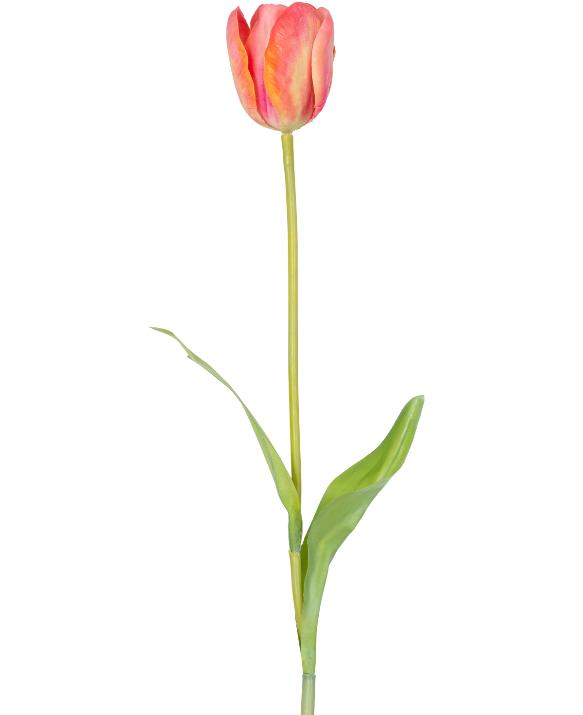Una única flor artificial de tulipán francés de 63 cm de color naranja con un largo tallo verde y dos hojas verdes, aislada sobre un fondo blanco.