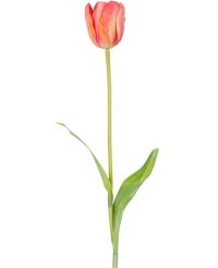 Ramo de flor artificial Tulipán francés 63 cm naranja