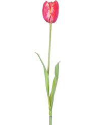 Ramo de flor artificial Tulipán francés 60 cm rojo