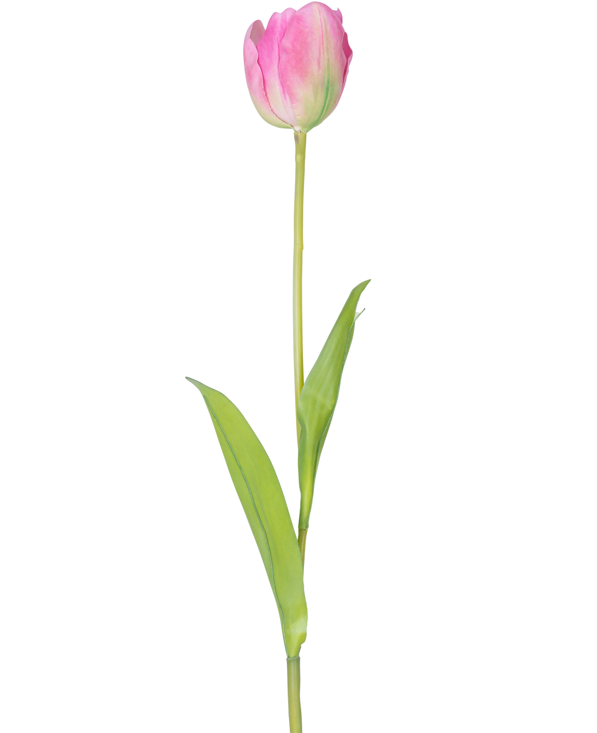 Una única flor artificial de tulipán francés de 63 cm de color rosa con un largo tallo verde y dos hojas verdes, aislada sobre un fondo blanco.