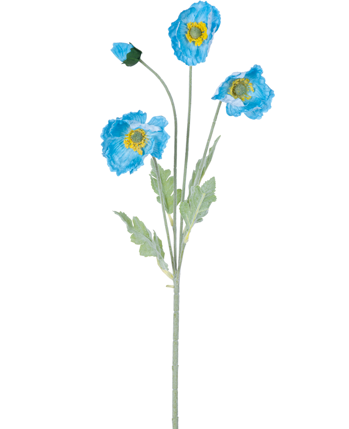 La Flor Artificial Amapola Real Touch Azul 60 cm tiene un único tallo con tres flores de Amapola azul y hojas verdes; dos flores están abiertas con un centro amarillo y una flor sigue siendo un capullo cerrado, todas aisladas sobre un fondo blanco.