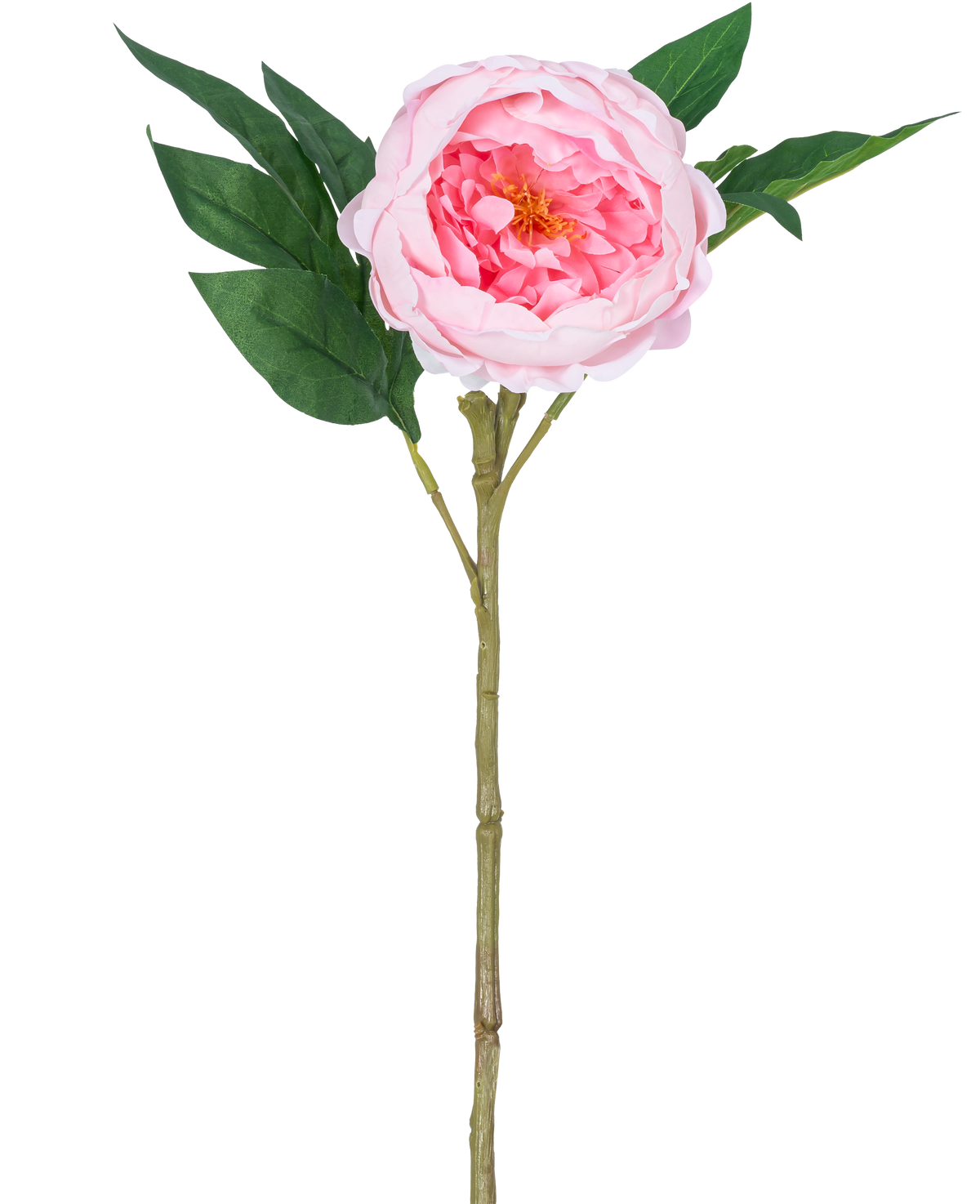 La Peonía Artificial Real Touch Pink 58 cm es una peonía rosa artificial con pétalos en capas, un corazón amarillo, hojas verdes y un largo tallo marrón, representada sobre un fondo blanco liso.