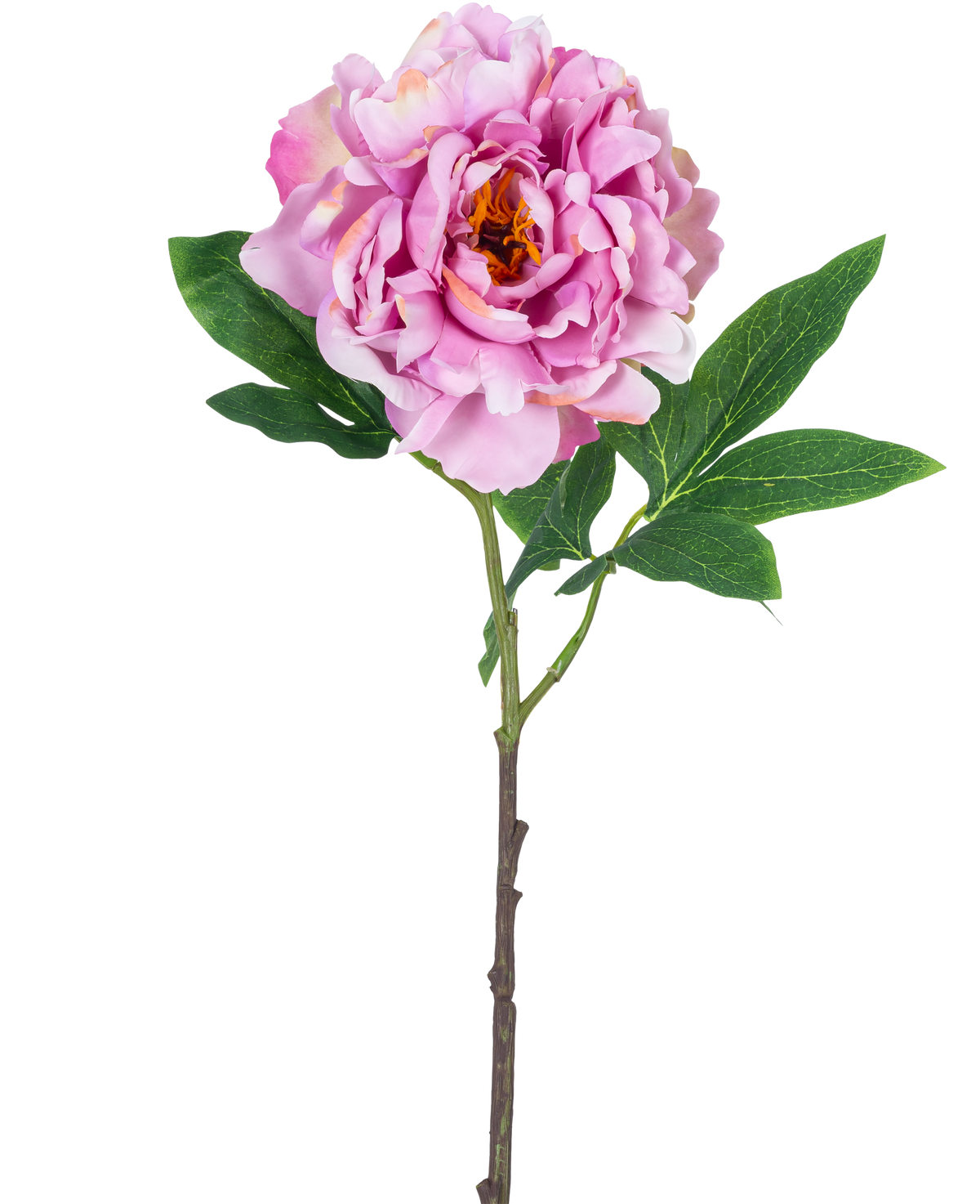Una sola flor artificial de peonía de 61 cm de color rosa claro, con pétalos de color rosa claro y hojas verdes en un tallo largo, fotografiada sobre un fondo blanco liso.