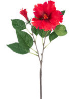 De Kunstbloem Hibiscus 63 cm rood heeft een enkele steel met levendige rode hibiscusbloemen en groene bladeren tegen een effen witte achtergrond.