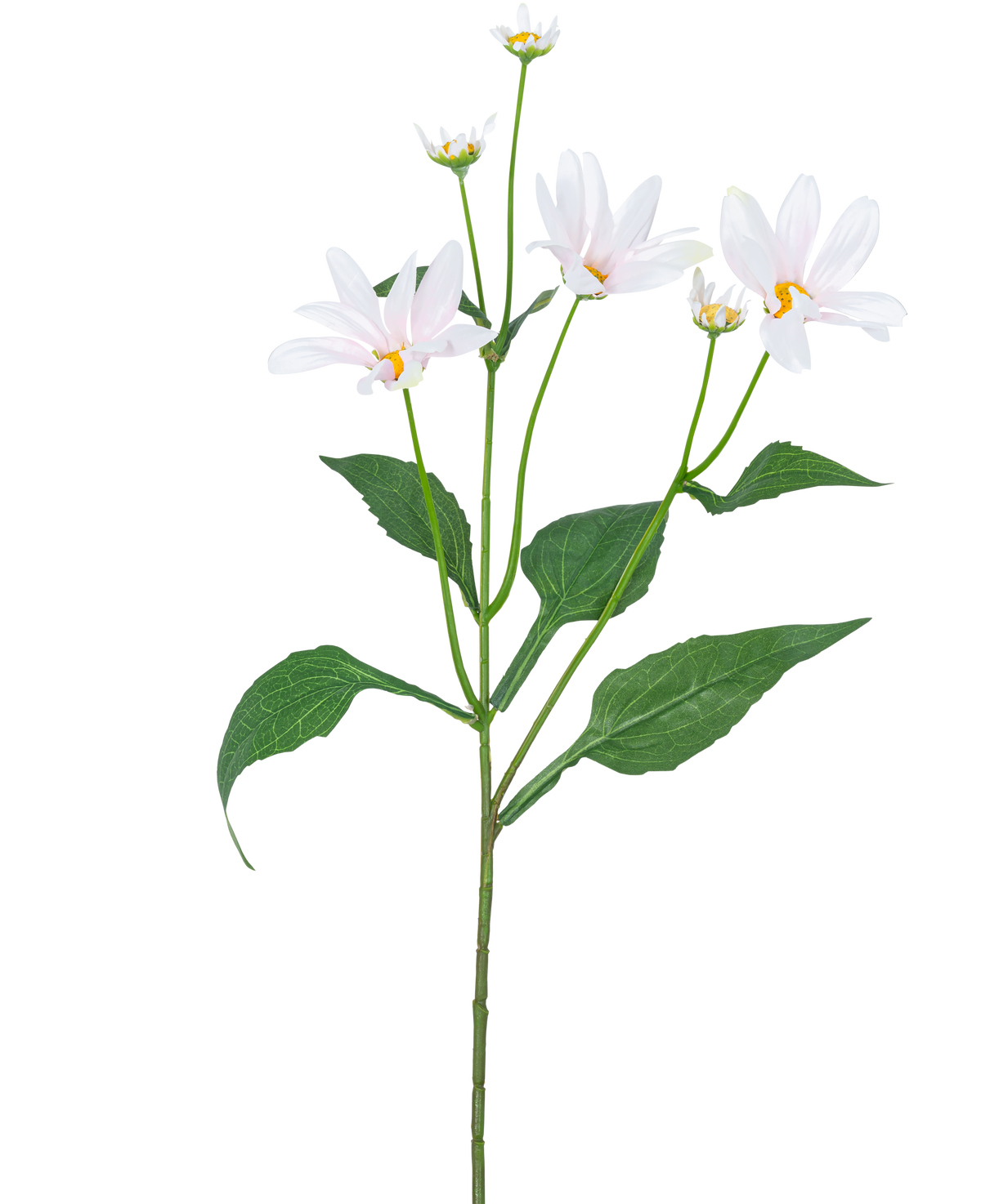 La Flor Artificial Madelief 76 cm blanca tiene un único tallo verde con varias hojas grandes y cinco flores blancas parecidas a margaritas con un corazón amarillo, sobre un fondo blanco liso.