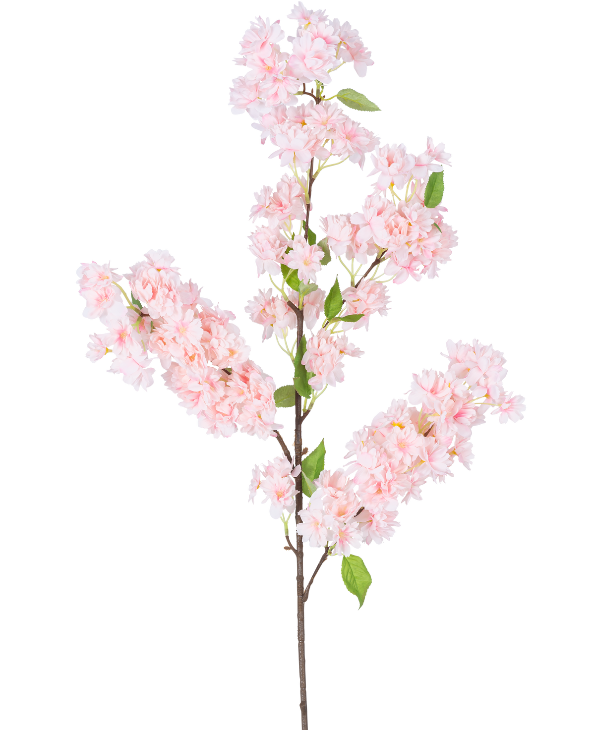 La flor de cerezo artificial rosa de 100 cm tiene un tallo largo de color marrón, racimos de flores de cerezo de color rosa claro y hojas verdes sobre un fondo blanco.
