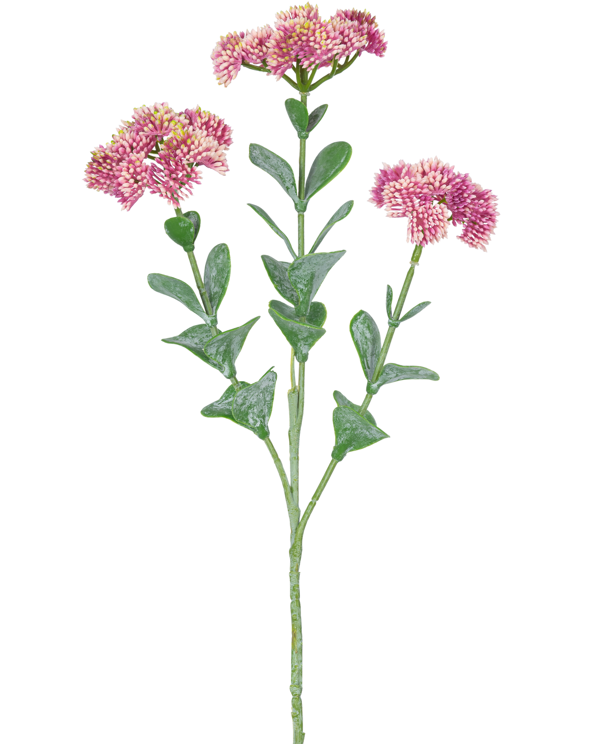 La Rama Artificial Sedum 56 cm rosa claro tiene un único tallo verde con múltiples ramas, cada una decorada con ramos de pequeñas flores de color rosa claro con pétalos redondeados, sobre un fondo blanco.