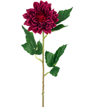 De Kunstbloem Dahlia Real Touch donker rood 54 cm heeft een enkele dieprode dahlia bloem met groene bladeren op een steel, geïsoleerd tegen een witte achtergrond.