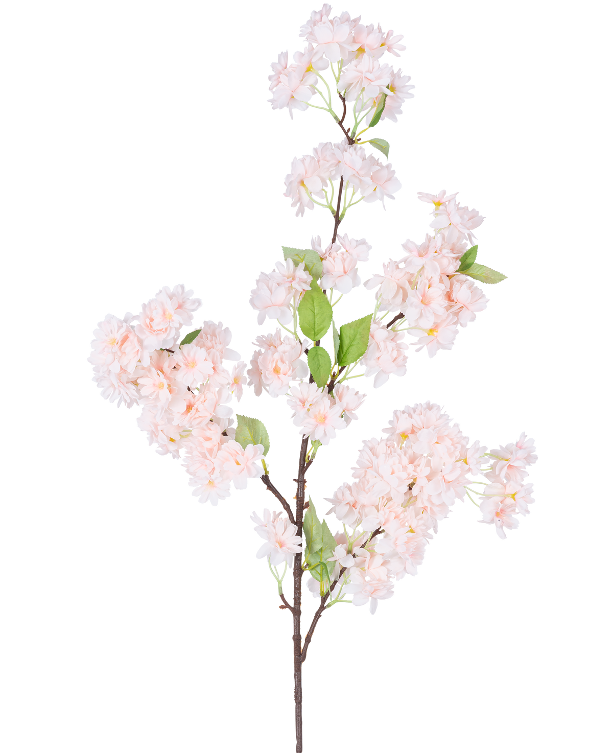 Una única Flor de Cerezo Artificial 100 cm rosa claro tiene racimos de flores de cerezo de color rosa claro con hojas verdes sobre un fondo blanco.